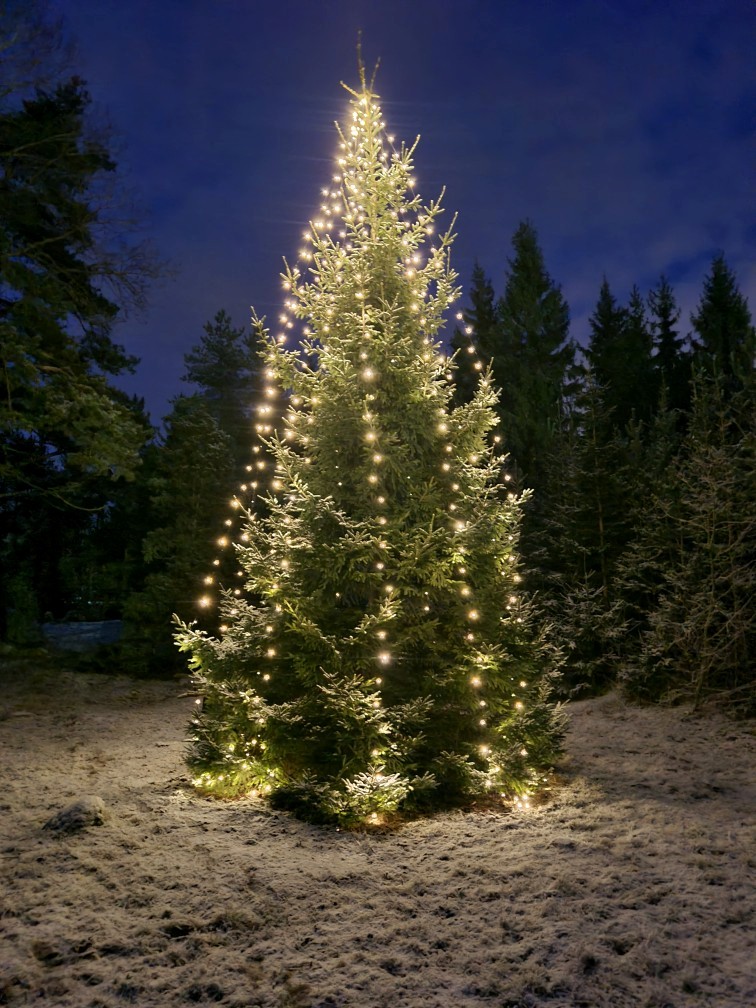 God Jul & Gott Nytt År